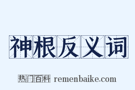 神根反义词是什么意思的图片